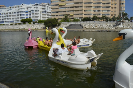 hidropedalpato