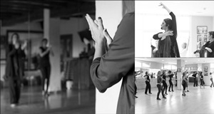 Flamenco-experiens